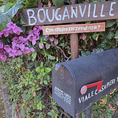 Casa Vacanze “Bouganville” Loc Avane Pisa 韦基亚诺 外观 照片