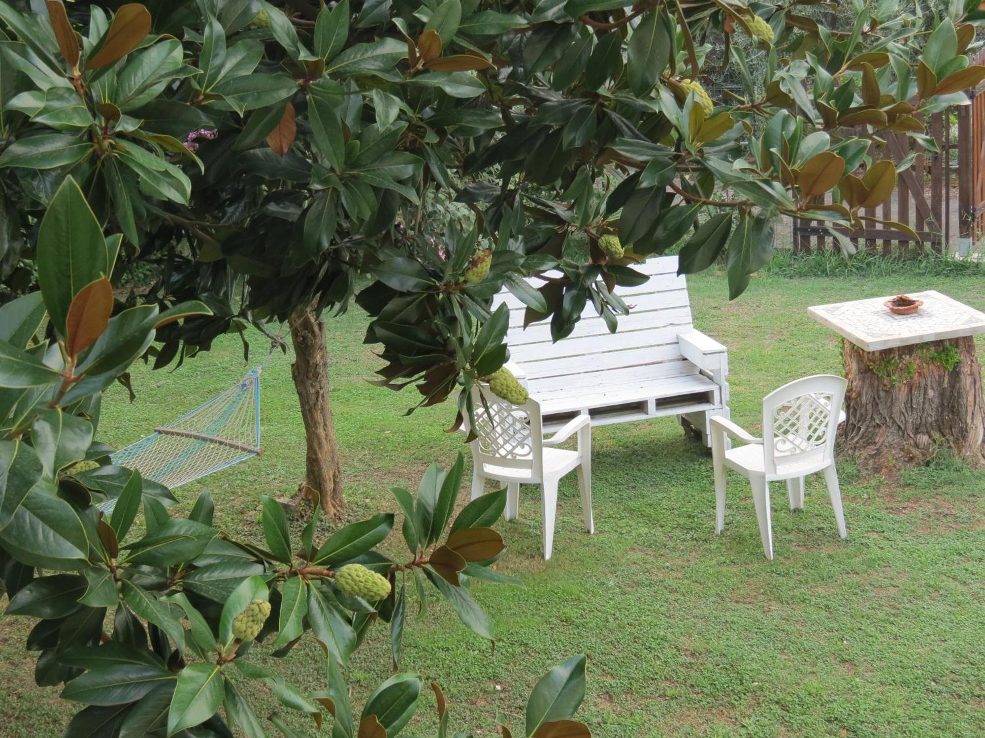 Casa Vacanze “Bouganville” Loc Avane Pisa 韦基亚诺 外观 照片