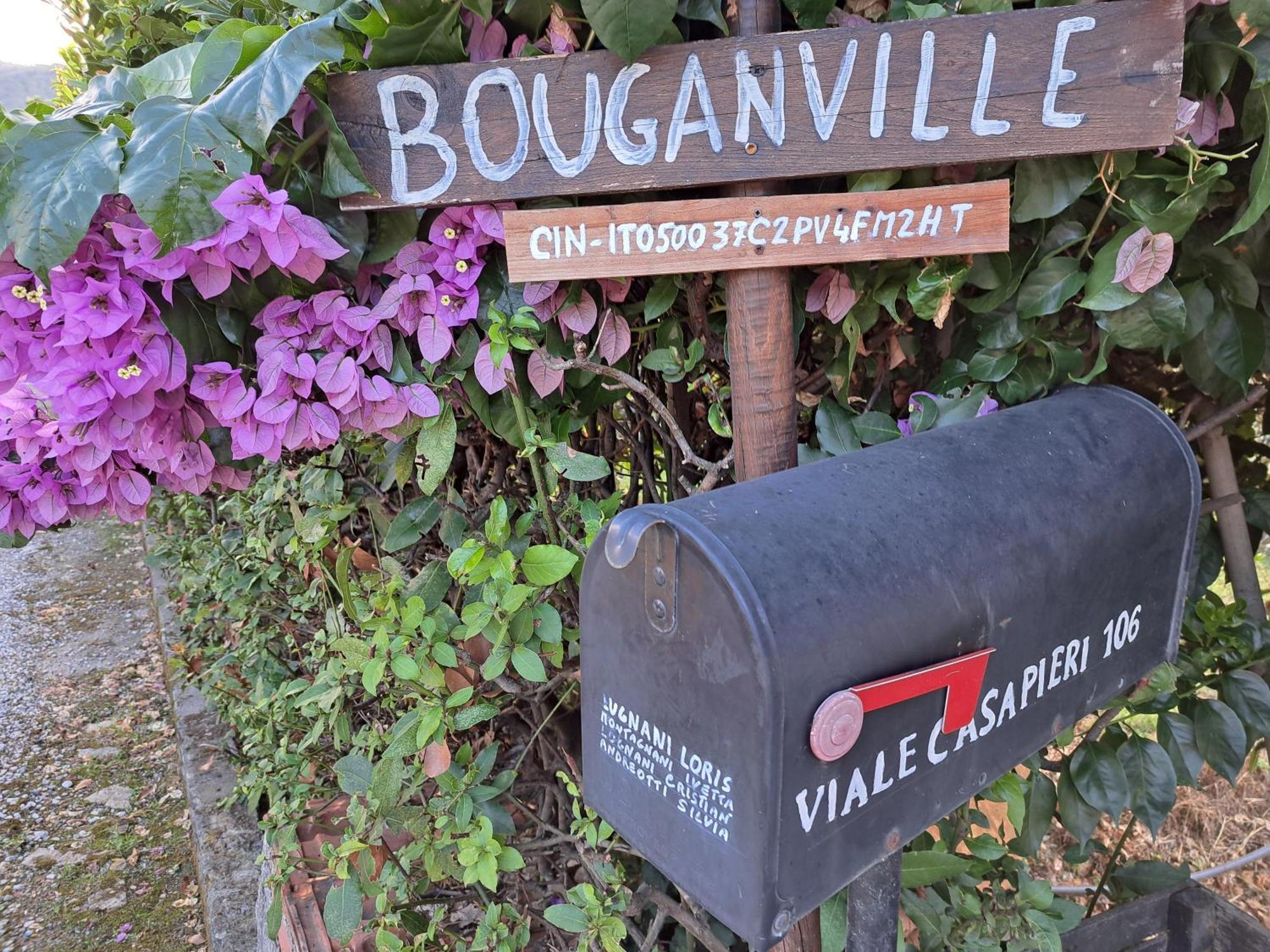 Casa Vacanze “Bouganville” Loc Avane Pisa 韦基亚诺 外观 照片